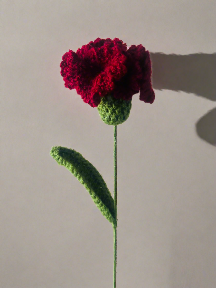 Crochet Carnation - cozykutumbhstore