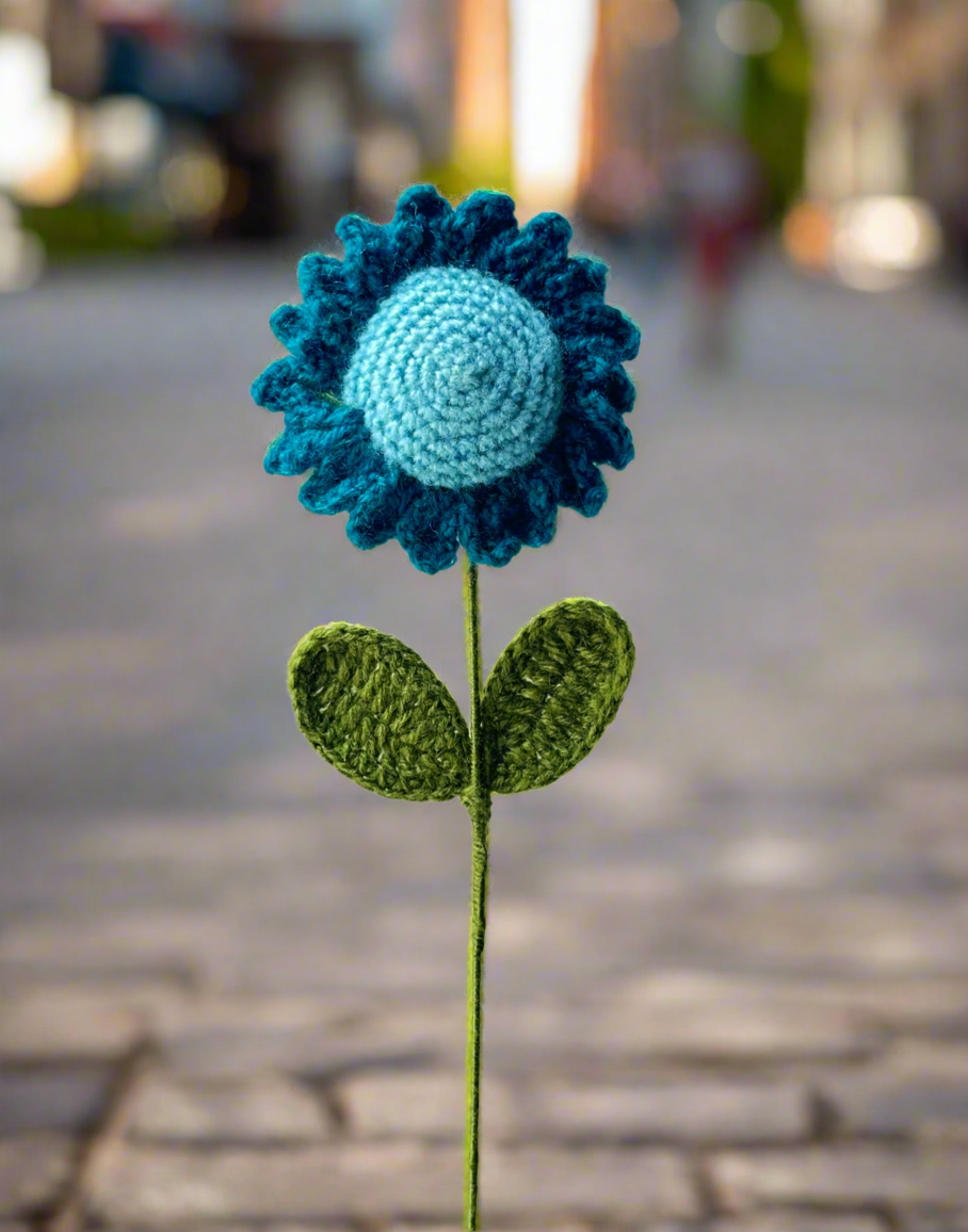 Crochet Daisy - cozykutumbhstore
