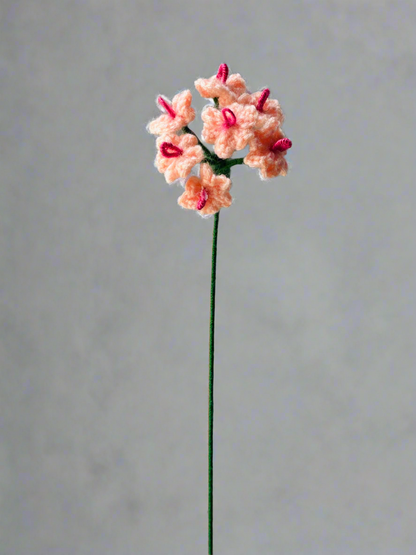 Crochet Forget-Me-Nots - cozykutumbhstore