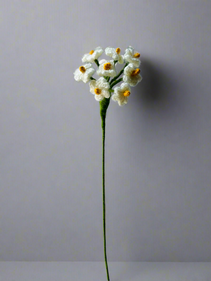 Crochet Forget-Me-Nots - cozykutumbhstore