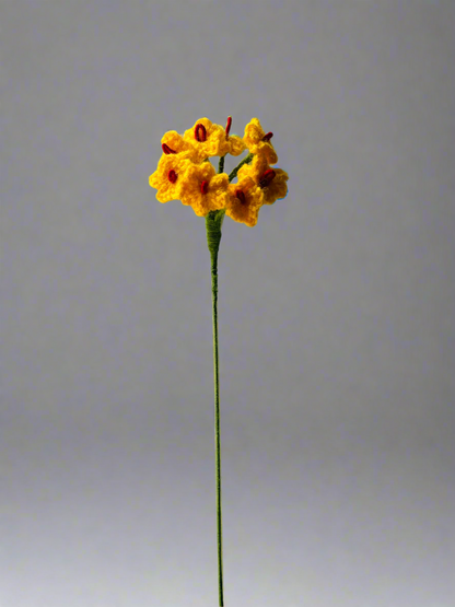 Crochet Forget-Me-Nots - cozykutumbhstore