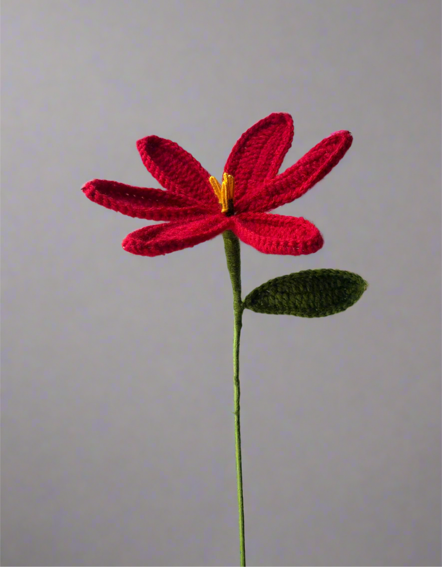 Crochet Lily - cozykutumbhstore