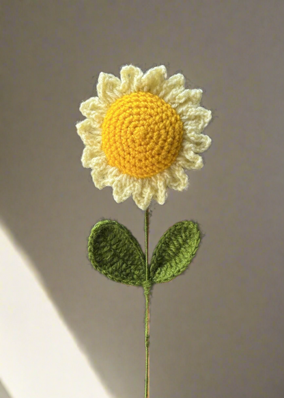 Crochet Daisy - cozykutumbhstore